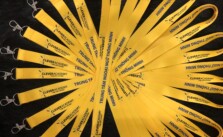 Dây Satin CLEVERACADEMY- TT NGOẠI NGỮ THÔNG MINH